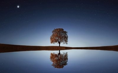 A paz do céu reflectida no lago
