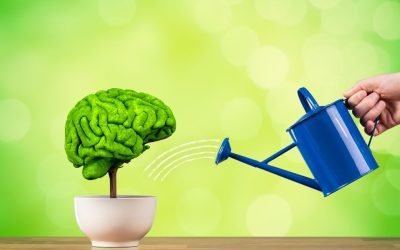 Como Potenciar a Memória: Estratégias Eficazes para Profissionais