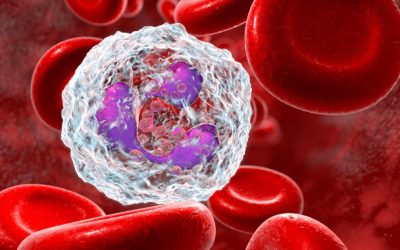 Impacto da Microbiota Intestinal na Saúde Metabólica e Imunológica