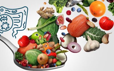 Alimentação e doenças autoimunes: evidência científica sobre inflamação, microbioma e regulação imunológica